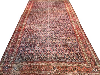 11.1 x 19 Ant. Maleyer J321