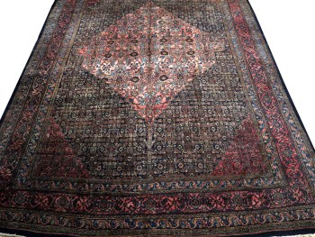 11.8 x 17.11 Bibi Kabad J587