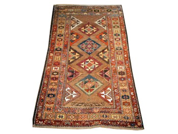 3.8 x 6.3 Ant Caucasian J2150