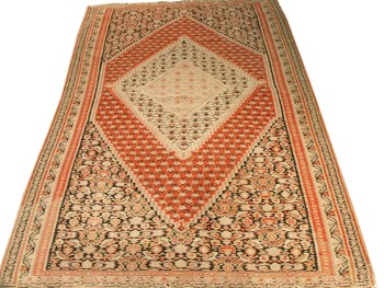 4.3 x 6.5 Ant. Senneh Kilim J64