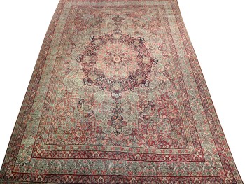 8.4 x 13.1 Ant Lavar J1