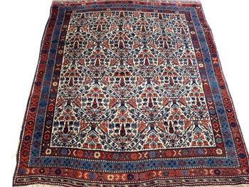 4.2 x 5.2 Ant Gashgai J24