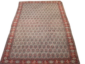 4.4 x 6.3 Antique Senneh J18